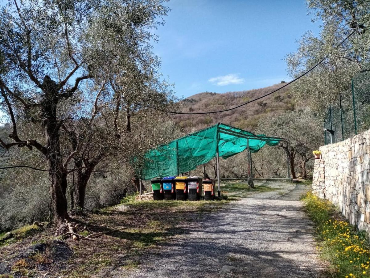 Agrisport Ca Di Cuni Daire Roncagli Dış mekan fotoğraf